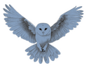 owl